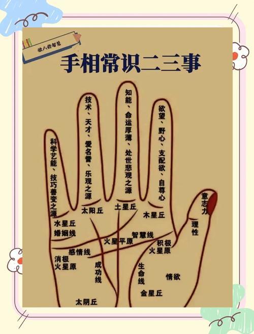 為什么手相很準(zhǔn)