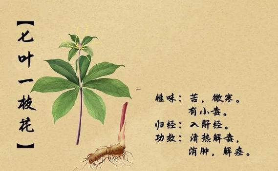 中草藥名