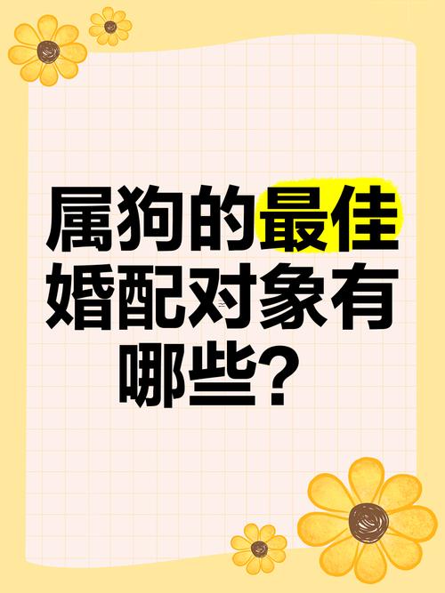 屬狗的人多少歲遇到真愛(ài)