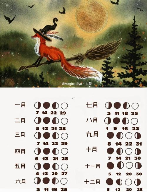 2025年陰歷多少個(gè)月
