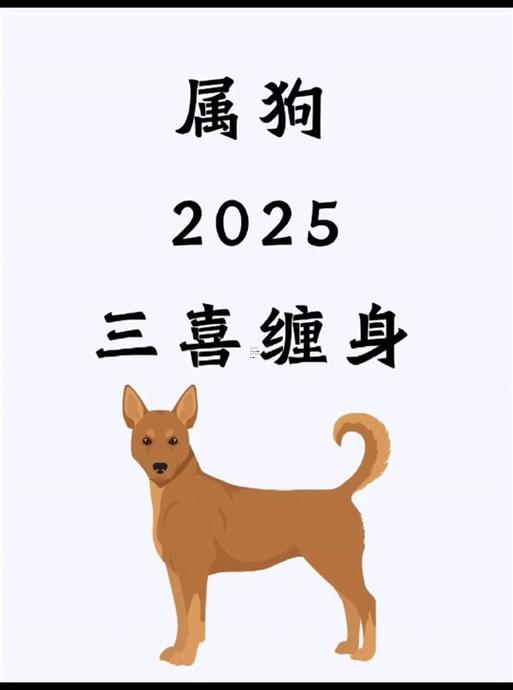 2025年屬狗人全年運(yùn)勢(shì)1982