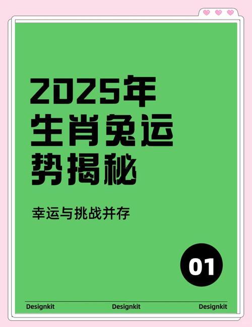 2025年屬兔的運(yùn)勢(shì)同財(cái)運(yùn)