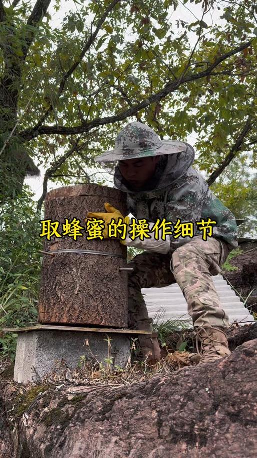 2026年9月取蜂蜜吉日