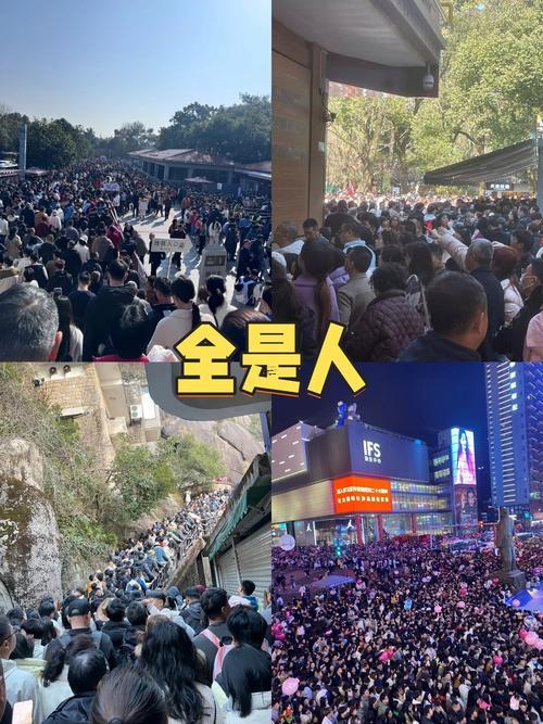 2025年陰歷有幾個(gè)月