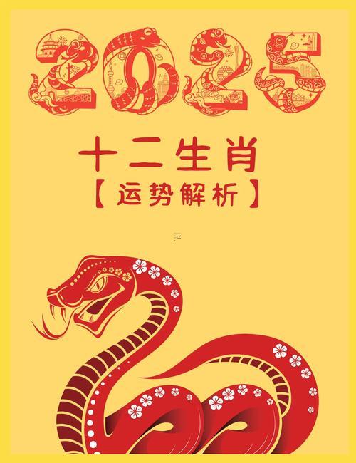 2025年屬龍的是啥命5