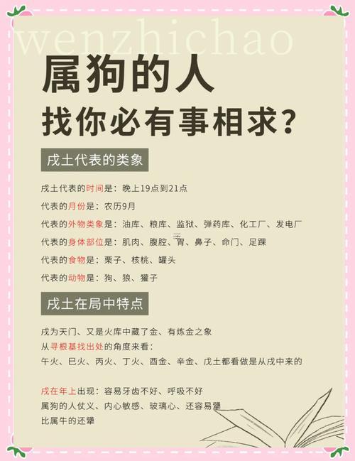 94年屬狗的女人怎樣才能打動(dòng)她