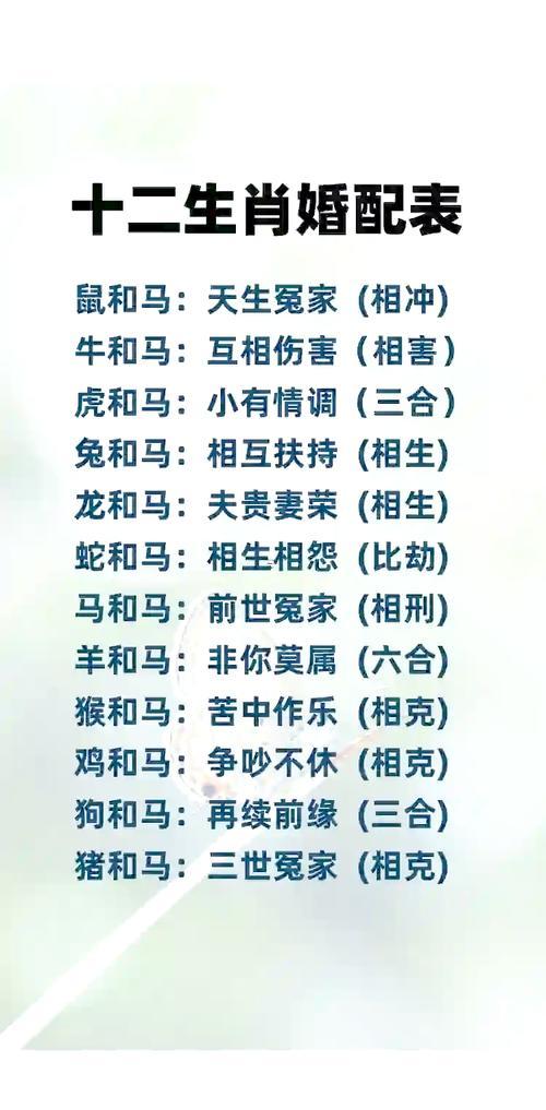 屬馬人今年姻緣
