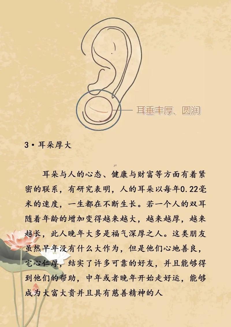 說女孩面相好怎么說