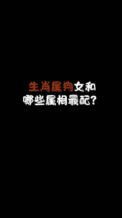 屬狗人對(duì)待感情觀