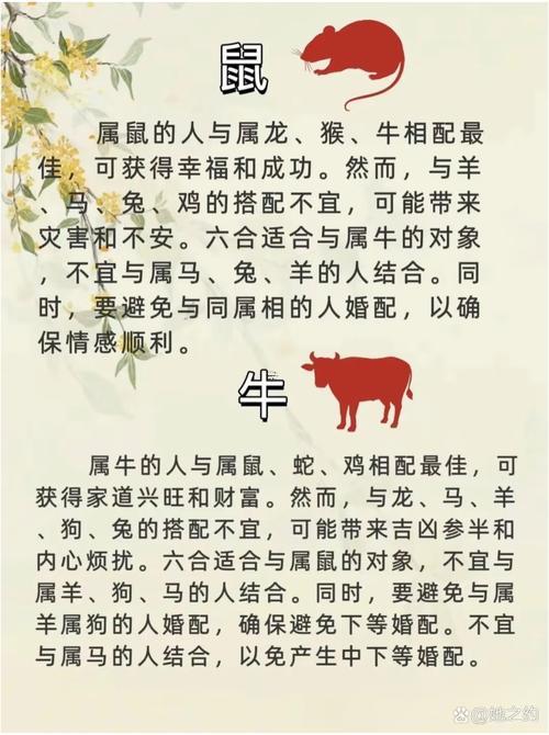龍肖同鼠肖配對(duì)好不