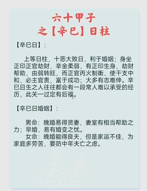 己酉日柱逢辛丑流年