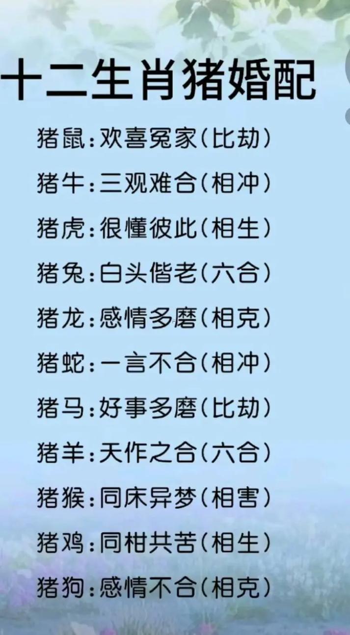 龍跟豬婚配好嗎