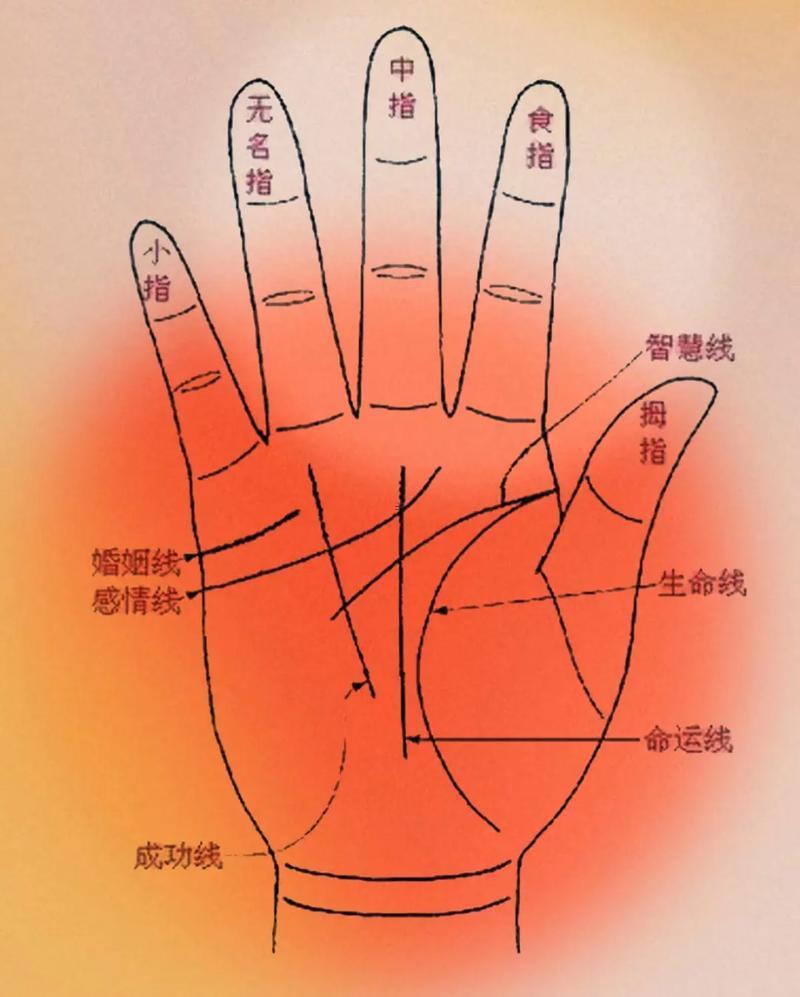 最聰明的手相