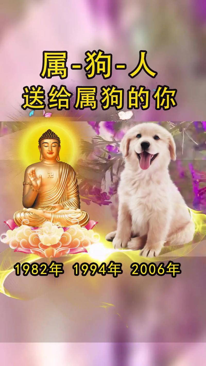 屬狗的真心給了誰(shuí)