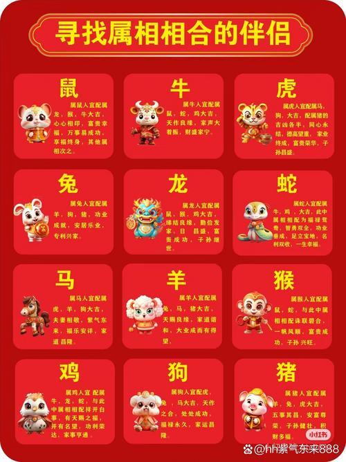 屬龍人的人2025