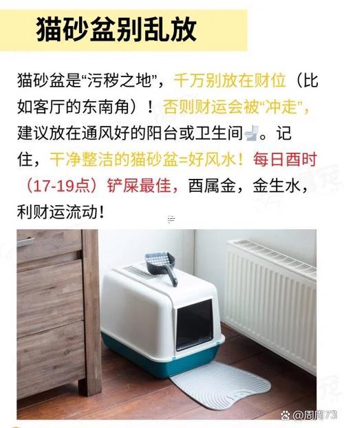 女人夢見乖巧溫順的貓可以聽懂人說話