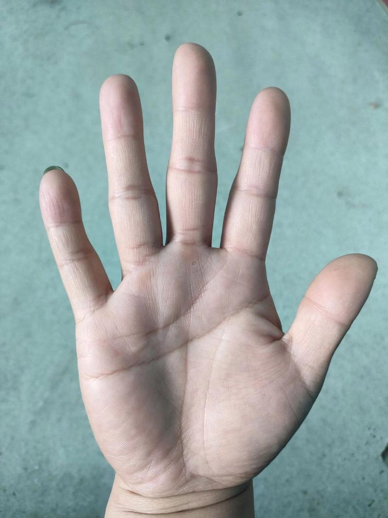 斷掌紋的女人旺夫不