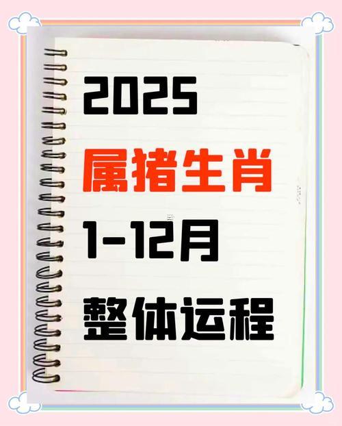1971年屬豬的人2025年里運程