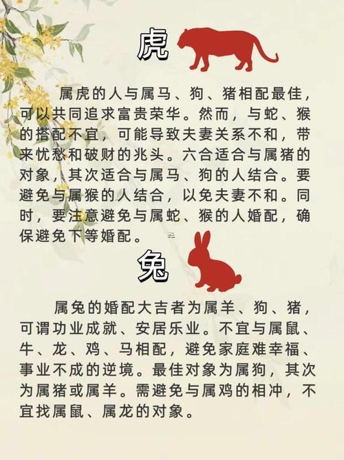屬牛的女生婚配屬相