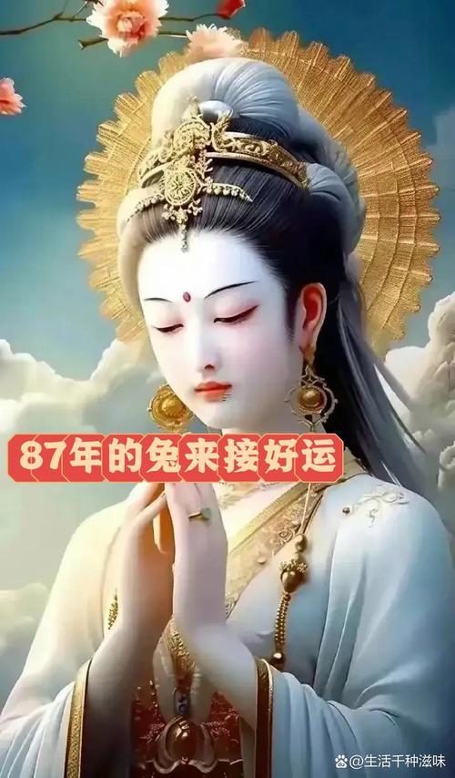 1987屬兔的幸運數(shù)字女性是何事