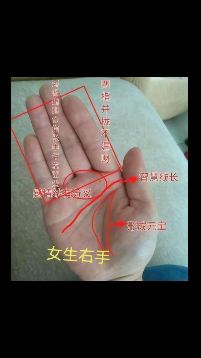 手相中的財運福氣圖解
